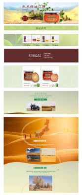 蓯新開始 打造專業養生產品網站，開啟健康產業新篇章